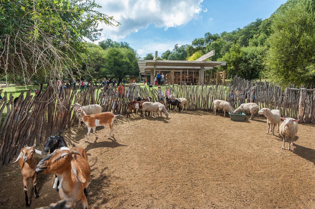 El 44 Reserva Natural De Tiempo Libre Villa Capilla del Monte Kültér fotó